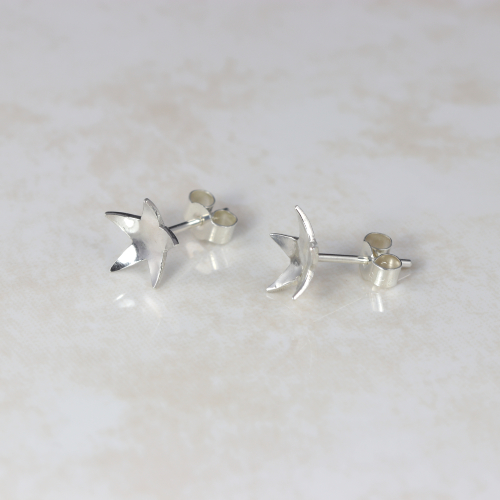 Star-ear-studs-on-a-shiny-tile-background